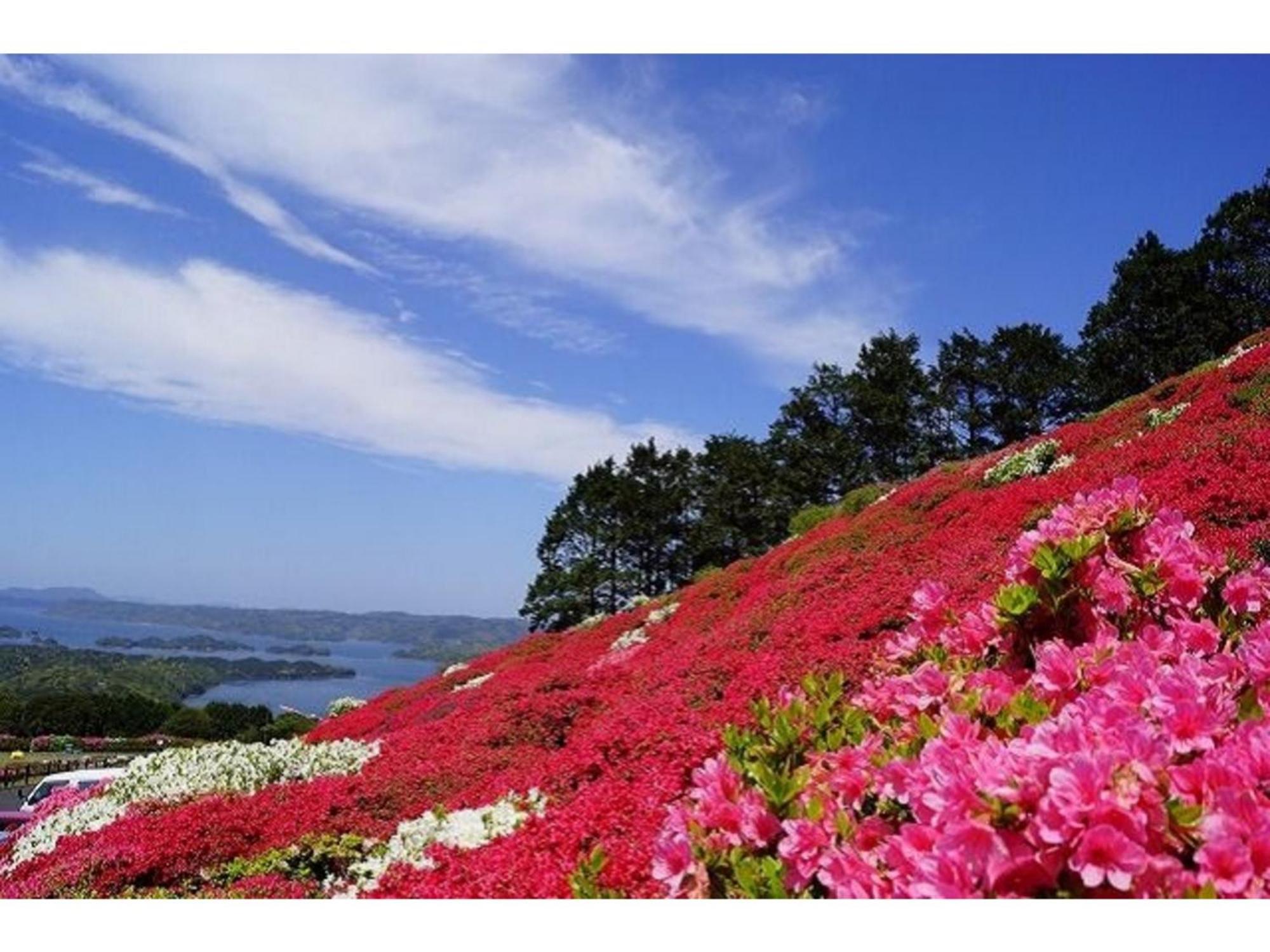 The Paradise Garden Sasebo Eksteriør bilde